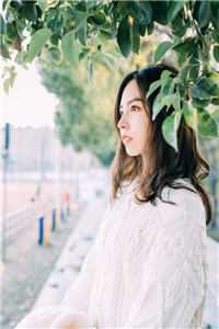 顾莹莹顾俊熙的小说老公逃婚三年后，回来见我孕肚小说阅读