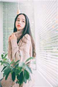 阔别三年，电子甜宠竟成了青丘女帝？陈海波青丘前文+后续